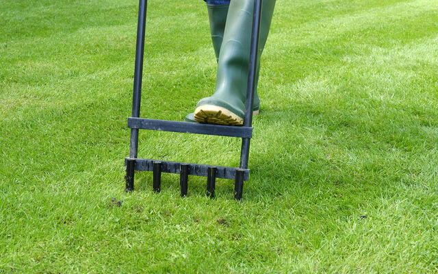 A person hollow tining a lawn