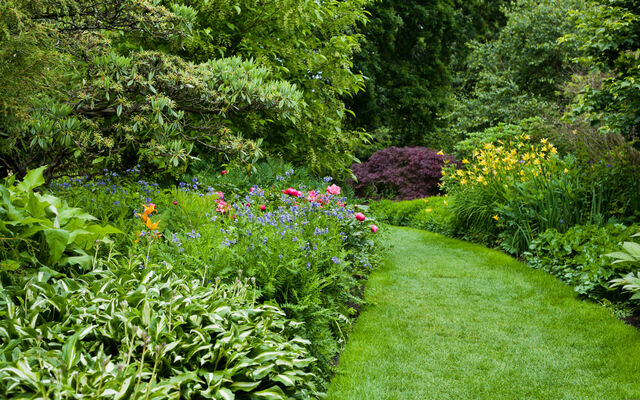 A garden with layers of shrubs and trees