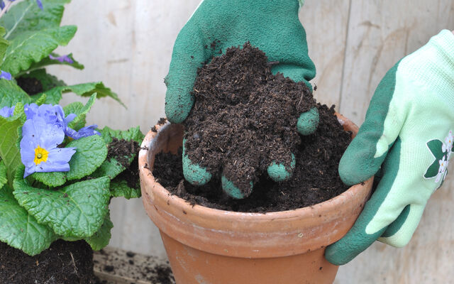 A close up of a person wearing gardening gloves holding soil in a pot