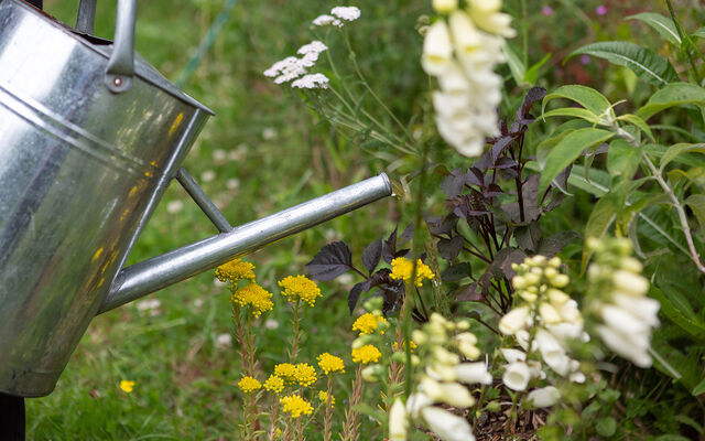 watering can