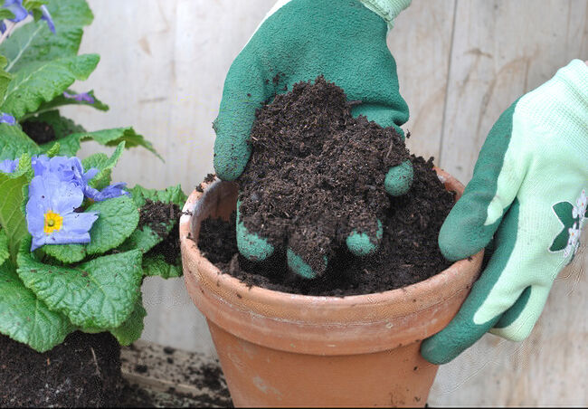 Close up of placing soil into a pot