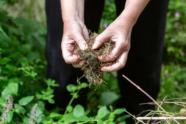 Hands holding home made compost