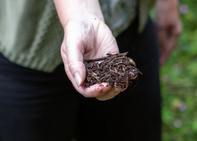 Close up of someone holding compost