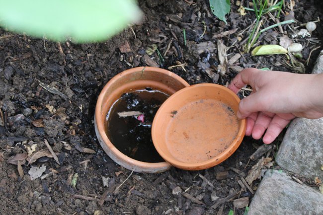 A terracotta pot in the ground filled with water