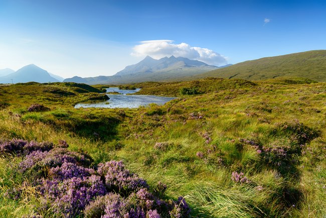 Peat bog in Scotland