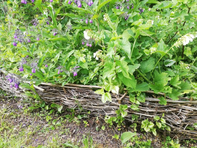 Border edging