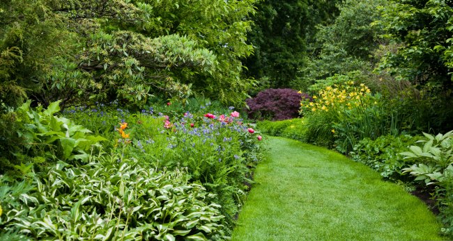 Layered garden