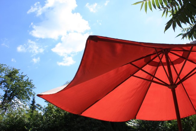 Large garden umbrella in sunshine