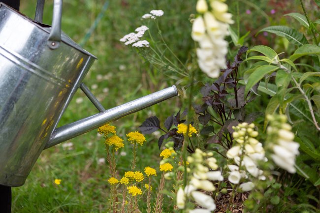 Watering can