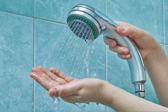 Shower head